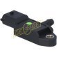 SENS DPFS 55198717