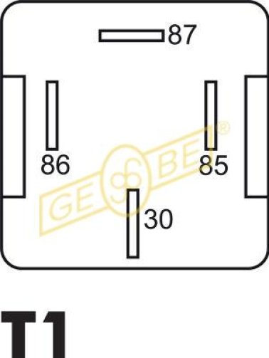 Fused Relay 12V 20A