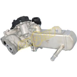 EGR-Module 9678257280